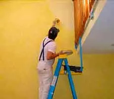 aExperiência em Serviços de Pinturas em geral em Manaus
